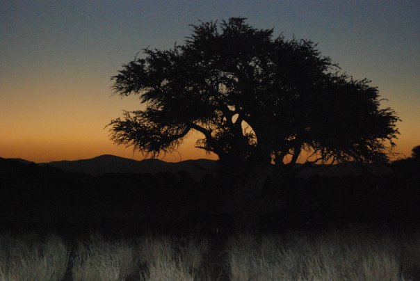 Familjeresa till södra Afrika